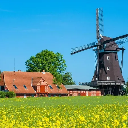 Ferienwohnung Kornfeld Petersdorf auf Fehmarn